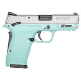 SMITH & WESSON M&P9 SHIELD EZ M2.0 9MM LUGER (9X19 PARA)