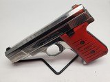 BRYCO ARMS Model 48 .380 ACP