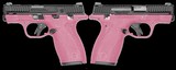 SMITH & WESSON BODYGUARD .380 ACP