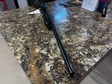 WINCHESTER 25 12 GA