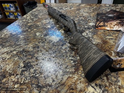 WINCHESTER SX4
12 GA