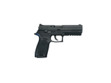 SIG SAUER P250 9MM LUGER (9x19 PARA)
