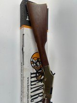 HENRY GOLDEN BOY 17 HMR .17 HMR - 2 of 3