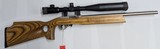 RUGER 10/22 WITH SCOPE .22 LR