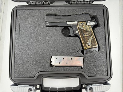 SIG SAUER P238 .380 ACP