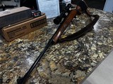 MOSSBERG 800 B .243 WIN