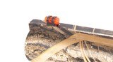 STOEGER M3000 Turkey 12 GA - 3 of 3