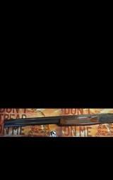 STOEGER Condor 12 GA - 3 of 3