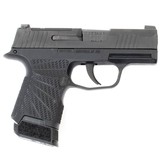SIG SAUER P365 9MM LUGER (9X19 PARA) - 2 of 3