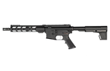 HI-POINT HP-15P .300 AAC BLACKOUT - 2 of 2