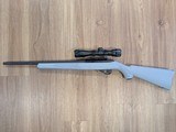 RUGER 10/22 CARBINE .22 LR - 2 of 2