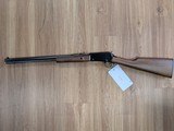 HENRY PUMP ACTION .22 WMR - 2 of 2
