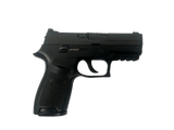 SIG SAUER P250 .380 ACP - 1 of 3
