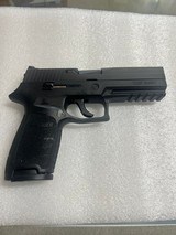 SIG SAUER P250 9MM LUGER (9x19 PARA) - 1 of 3