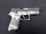 SIG SAUER P250 9MM LUGER (9x19 PARA) - 1 of 2