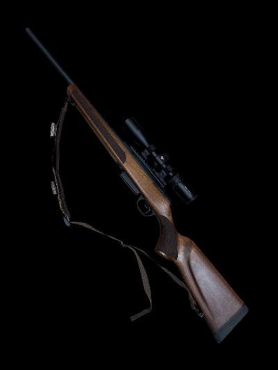 SAVAGE ARMS 334 .308 WIN