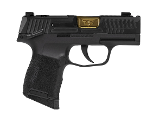 SIG SAUER P365 - Image 1 of 1