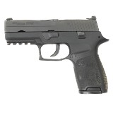 SIG SAUER P250 .40 S&W - 1 of 3
