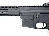 RADICAL FIREARMS RF-15 Multi - 3 of 3