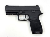 SIG SAUER P320 CARRY .45 ACP - 2 of 3