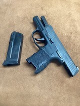 SIG SAUER P365 .380 ACP - 1 of 3