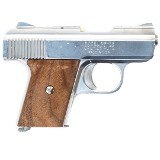 RAVEN ARMS MP-25 .25 ACP - 2 of 2