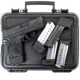 SPRINGFIELD ARMORY XDS-9 9MM LUGER (9X19 PARA) - 3 of 3