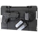 SPRINGFIELD ARMORY XDS-45 .45 ACP - 3 of 3