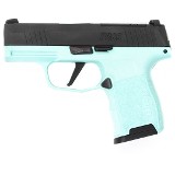 SIG SAUER P365-380 .380 ACP - 1 of 3