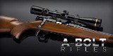 BROWNING A-BOLT .243 WIN - 2 of 2