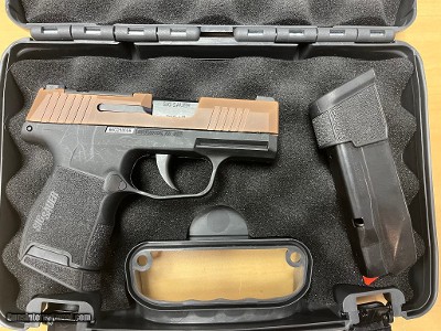 SIG SAUER 365 9MM LUGER (9x19 PARA)