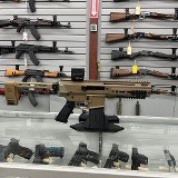 PALMETTO STATE ARMORY JAKL (FDE) .300 AAC BLACKOUT - 1 of 3