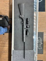 SAVAGE ARMS A17 .17 HMR