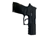 SIG SAUER P250 9MM LUGER (9x19 PARA) - 3 of 3