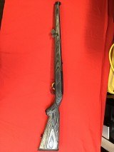 RUGER 10/22 .22LR/.22MAG - 1 of 3