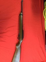 RUGER 10/22
.22LR/.22MAG - 1 of 3