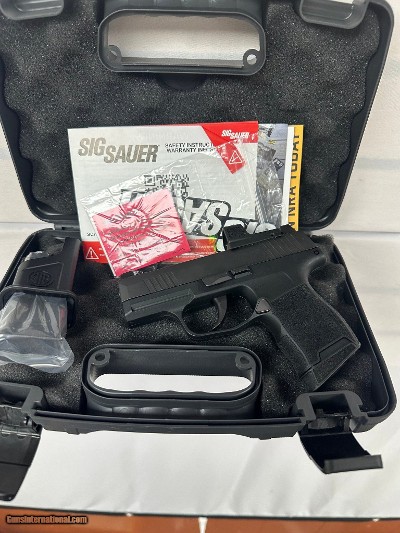 SIG SAUER 365 .380 ACP