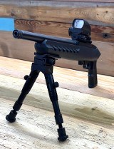 RUGER CHARGER .22 LR - 2 of 3