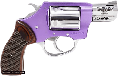 CHARTER ARMS COYOTE .380 ACP