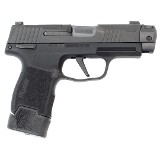 SIG SAUER P365 9MM LUGER (9X19 PARA) - 2 of 3