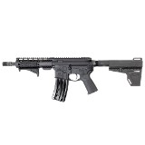 PALMETTO STATE ARMORY PA-15 .300 AAC BLACKOUT - 1 of 2