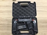 SIG SAUER P365 9MM LUGER (9x19 PARA)
