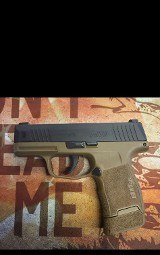 SIG SAUER P365 9MM LUGER (9x19 PARA) - 3 of 3