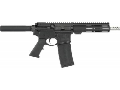 GREAT LAKES FIREARMS AR 15 .223 WYLDE