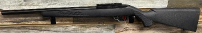 RUGER 10/22 .22 LR