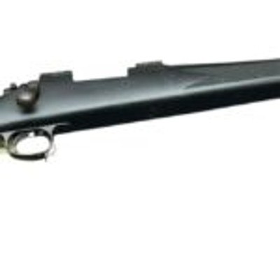 REMINGTON 700 .243 WIN