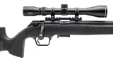 SPRINGFIELD ARMORY 2020 RIMFIRE TARGET .22 LR - 2 of 3