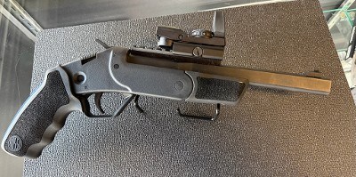 ROSSI BRAWLER .45 LC/.410 GA