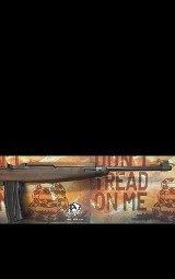 NATIONAL ORDNANCE M1 Carbine .30 CARBINE - 3 of 3