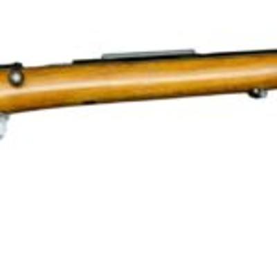 BSA Sportsman 15 .22 LR